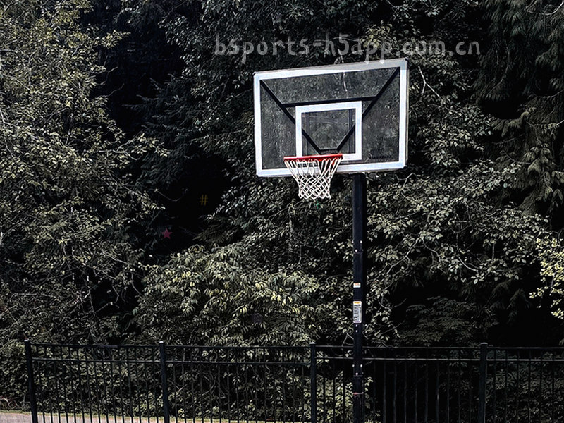 数据可视化示例：进失球分布BSPORTS版图表，横轴时间，纵轴进球数，带分布热点